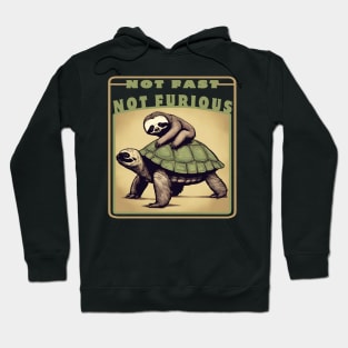 Sloth And Turtle Not Fast Not Furious Hoodie
